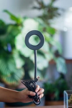 NCYP Clip Grow LED Light, Gooseneck, USB, 10W, Display, Adjustable, For Succulents, Open Terrarium, Fish Tank, Moss, Fern, Tropical Plants 15 NCYP Clip Grow LED Light, Gooseneck, USB, 10W, Display, Adjustable, For Succulents, Open Terrarium, Fish Tank, Moss, Fern, Tropical Plants -Glass Plant Store 20230628086 3