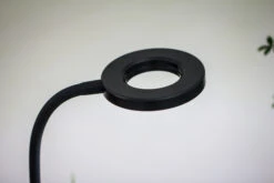 NCYP Clip Grow LED Light, Gooseneck, USB, 10W, Display, Adjustable, For Succulents, Open Terrarium, Fish Tank, Moss, Fern, Tropical Plants 20 NCYP Clip Grow LED Light, Gooseneck, USB, 10W, Display, Adjustable, For Succulents, Open Terrarium, Fish Tank, Moss, Fern, Tropical Plants -Glass Plant Store 20230628086 7