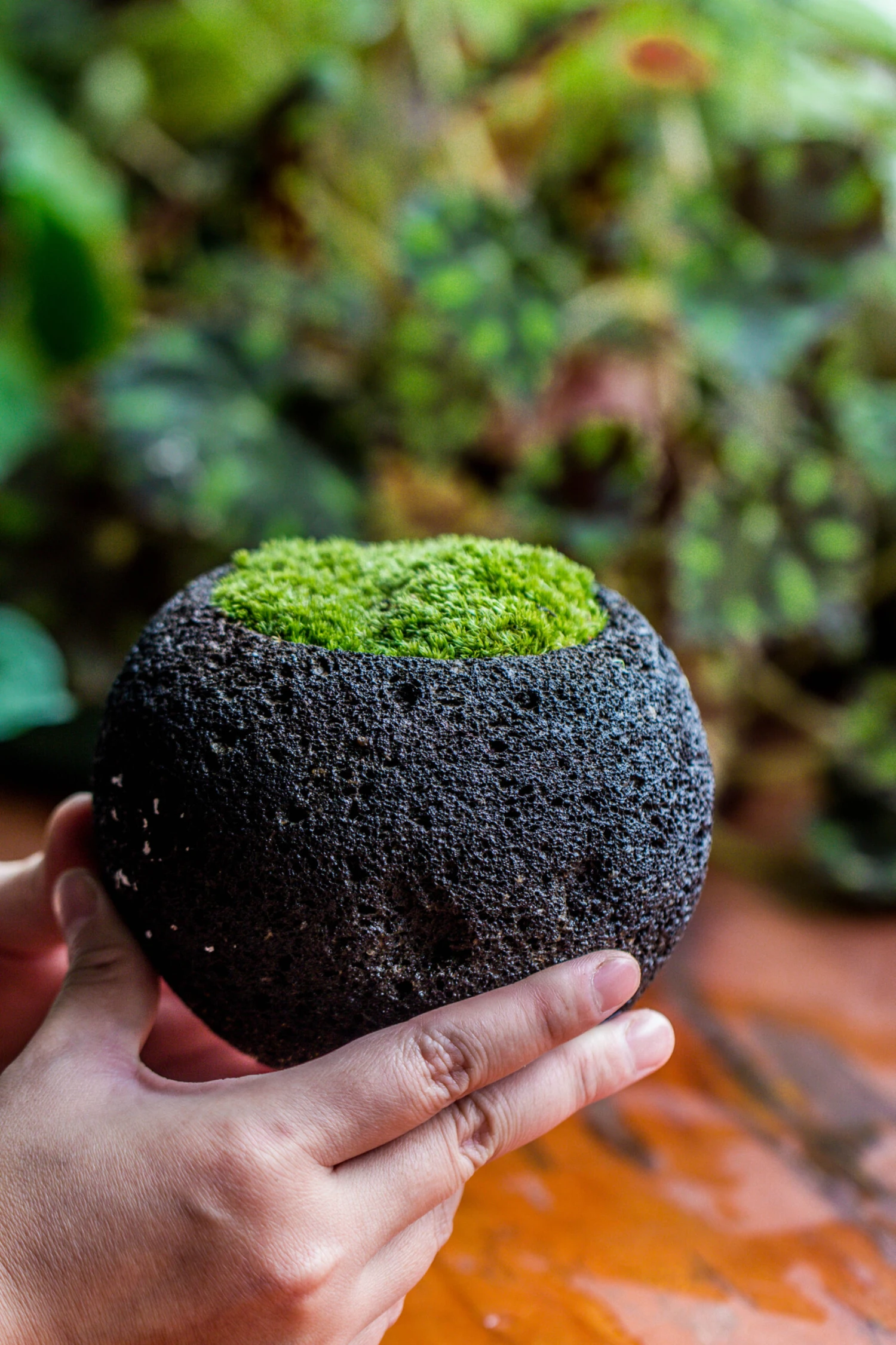 DIY Set 12cm / 4.7" Round Horticultural Lava Rock Volcanic Rock Planter And Moss Planting Kit 2 DIY Set 12cm / 4.7" Round Horticultural Lava Rock Volcanic Rock Planter And Moss Planting Kit - Image 2