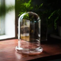 Glass Cloche Terrarium Bell Jar With Glass Base With Top Air Hole,Glass Dome Planter For Plants