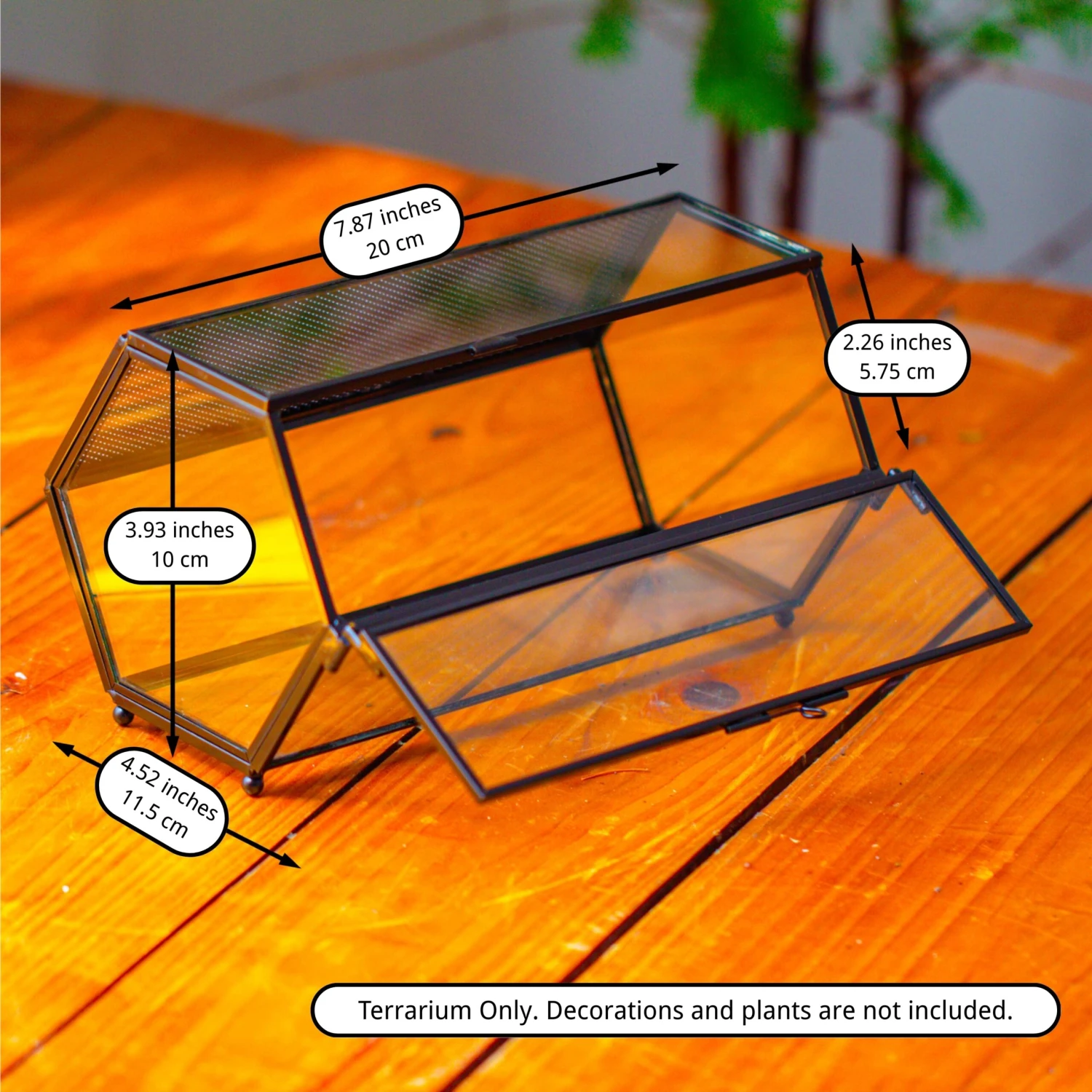 NCYP Long Hexagon Mimi Geometric Terrarium For Spiders And Small Insects 2 NCYP Long Hexagon Mimi Geometric Terrarium For Spiders And Small Insects - Image 2