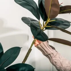 NCYP Artificial Rubber Tree, Rubber Fig, Rubber Bush 5.9FT (70.8 Inches) Tall Faux Plant For Home Office Decor, Indoor Fake Potted Ficus Elastica Tree With Plastic Pot And Rattan Woven Basket 19 NCYP Artificial Rubber Tree, Rubber Fig, Rubber Bush 5.9FT (70.8 Inches) Tall Faux Plant For Home Office Decor, Indoor Fake Potted Ficus Elastica Tree With Plastic Pot And Rattan Woven Basket -Glass Plant Store 290A0799