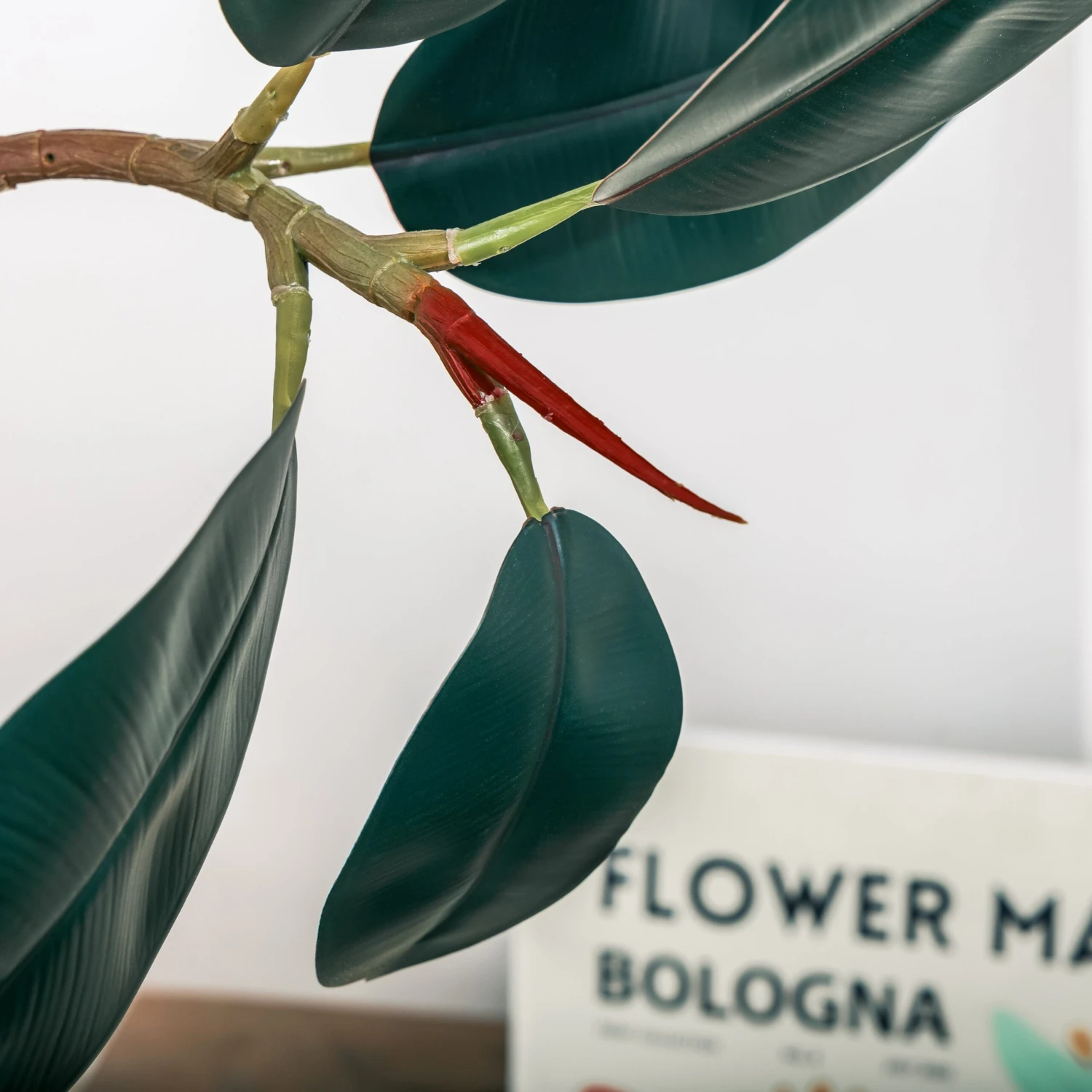 NCYP Artificial Rubber Tree, Rubber Fig, Rubber Bush 5.9FT (70.8 Inches) Tall Faux Plant For Home Office Decor, Indoor Fake Potted Ficus Elastica Tree With Plastic Pot And Rattan Woven Basket 10 NCYP Artificial Rubber Tree, Rubber Fig, Rubber Bush 5.9FT (70.8 Inches) Tall Faux Plant For Home Office Decor, Indoor Fake Potted Ficus Elastica Tree With Plastic Pot And Rattan Woven Basket - Image 10