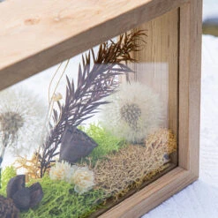 Presered Dandelion Set 3 Pcs Dried Flowers, DIY Material For Bouquet, -Glass Plant Store 290A1800