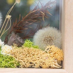 Presered Dandelion Set 3 Pcs Dried Flowers, DIY Material For Bouquet, -Glass Plant Store 290A1860