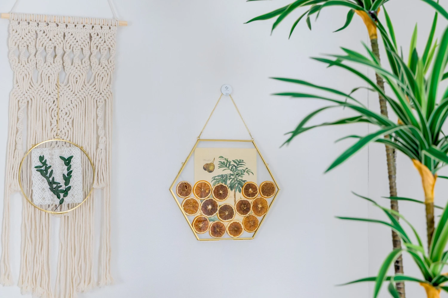 Wall Hanging Hexagon 12" Herbarium Brass Glass Frame For Thick Pressed Flowers, Dried Flowers, Poster, Coin, Double Glass, Floating Frame 4 Wall Hanging Hexagon 12" Herbarium Brass Glass Frame For Thick Pressed Flowers, Dried Flowers, Poster, Coin, Double Glass, Floating Frame - Image 4