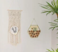 Wall Hanging Round 8" Herbarium Brass Glass Frame For Thick Pressed Flowers, Dried Flowers, Poster, Coin, Double Glass, Floating Frame 37 Wall Hanging Round 8" Herbarium Brass Glass Frame For Thick Pressed Flowers, Dried Flowers, Poster, Coin, Double Glass, Floating Frame -Glass Plant Store 290A2521