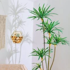 Wall Hanging Hexagon 12" Herbarium Brass Glass Frame For Thick Pressed Flowers, Dried Flowers, Poster, Coin, Double Glass, Floating Frame 22 Wall Hanging Hexagon 12" Herbarium Brass Glass Frame For Thick Pressed Flowers, Dried Flowers, Poster, Coin, Double Glass, Floating Frame -Glass Plant Store 290A2567