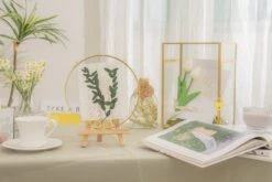 Wall Hanging Round 8" Herbarium Brass Glass Frame For Thick Pressed Flowers, Dried Flowers, Poster, Coin, Double Glass, Floating Frame 35 Wall Hanging Round 8" Herbarium Brass Glass Frame For Thick Pressed Flowers, Dried Flowers, Poster, Coin, Double Glass, Floating Frame -Glass Plant Store 290A2779