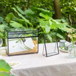Modern Black Table Number Holder, 5X7'' Photo Picture Frame, For Outdoor Garden Wedding, Bridal Shower 13 Modern Black Table Number Holder, 5X7'' Photo Picture Frame, For Outdoor Garden Wedding, Bridal Shower -Glass Plant Store 290A3042