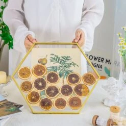 Wall Hanging Hexagon 12" Herbarium Brass Glass Frame For Thick Pressed Flowers, Dried Flowers, Poster, Coin, Double Glass, Floating Frame 30 Wall Hanging Hexagon 12" Herbarium Brass Glass Frame For Thick Pressed Flowers, Dried Flowers, Poster, Coin, Double Glass, Floating Frame -Glass Plant Store 290A3133