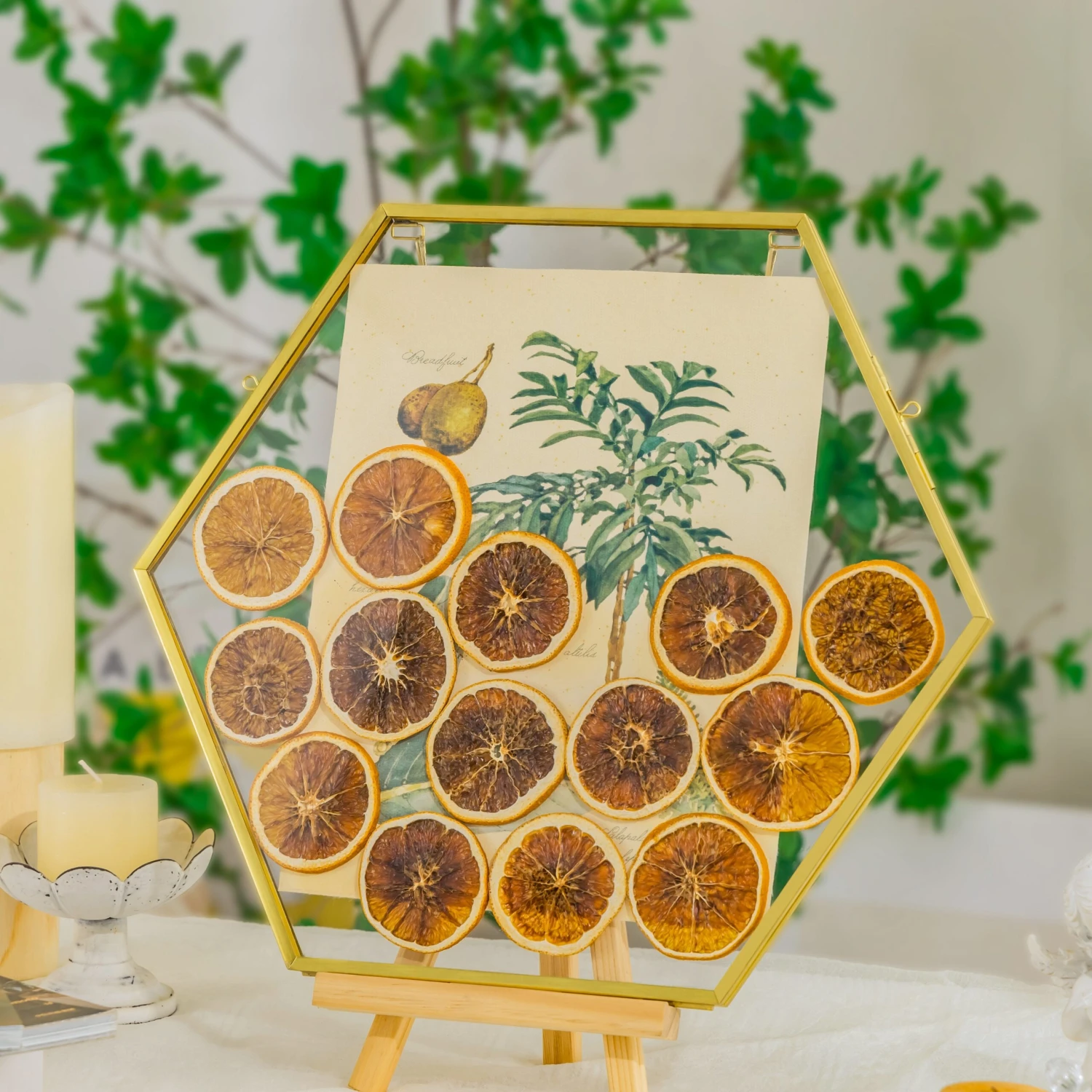 Wall Hanging Hexagon 12" Herbarium Brass Glass Frame For Thick Pressed Flowers, Dried Flowers, Poster, Coin, Double Glass, Floating Frame 13 Wall Hanging Hexagon 12" Herbarium Brass Glass Frame For Thick Pressed Flowers, Dried Flowers, Poster, Coin, Double Glass, Floating Frame - Image 13