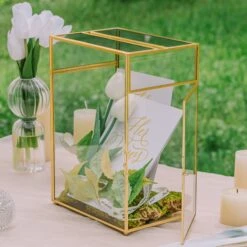 NCYP Glass Cards Box For Wedding Reception - Rectangle Glass Box With Slot And Lock For Money, Envelopes - Birthdays Party Tabletop Decor, 8" X 5.5" X 11.3" Gold, Clear (Card Box Only) 33 NCYP Glass Cards Box For Wedding Reception - Rectangle Glass Box With Slot And Lock For Money, Envelopes - Birthdays Party Tabletop Decor, 8" X 5.5" X 11.3" Gold, Clear (Card Box Only) -Glass Plant Store 290A3348