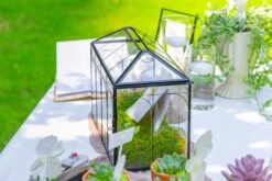 12.6"Handmade Black Wedding Card Box With Slot And Lock, Size Large, For Reception 34 12.6"Handmade Black Wedding Card Box With Slot And Lock, Size Large, For Reception -Glass Plant Store 290A5956