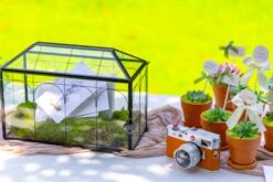 12.6"Handmade Black Wedding Card Box With Slot And Lock, Size Large, For Reception 30 12.6"Handmade Black Wedding Card Box With Slot And Lock, Size Large, For Reception -Glass Plant Store 290A6098