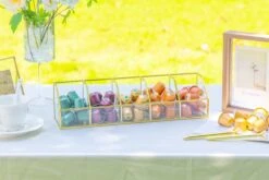 Glass Gold Tea Bag Box, 5 Compartments Box, Tea Lovers Gift Box, Tea Organizer, Christmas Gift -Glass Plant Store 290A6284 374a3bcb 9d84 4a55 9d2a 659a96ea179f