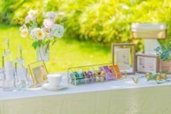 Glass Gold Tea Bag Box, 5 Compartments Box, Tea Lovers Gift Box, Tea Organizer, Christmas Gift -Glass Plant Store 290A6366 f7b7f63d c954 4481 845b 6588473a13e2