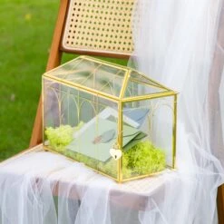 Glass Plant Store -Glass Plant Store 290A9597 fa1625a6 b470 4ab9 9aff 4d5ffe18305d