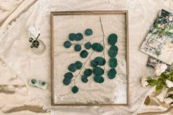 NCYP Handmade 5' 20" A3 A4 Large Tabletop Wall Hanging Natural Wood Acrylic Artwork Floating Frame -Glass Plant Store 290A9963