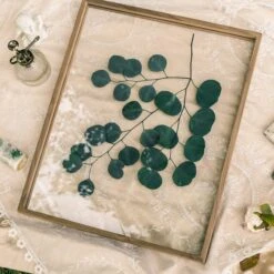 NCYP Handmade 5' 20" A3 A4 Large Tabletop Wall Hanging Natural Wood Acrylic Artwork Floating Frame -Glass Plant Store 290A9966