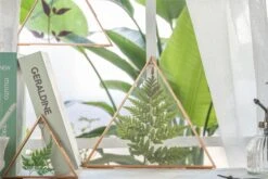 Hanging Triangle Herbarium Copper Glass Frame For Pressed Flowers Dried Flowers Poster -Glass Plant Store 2974