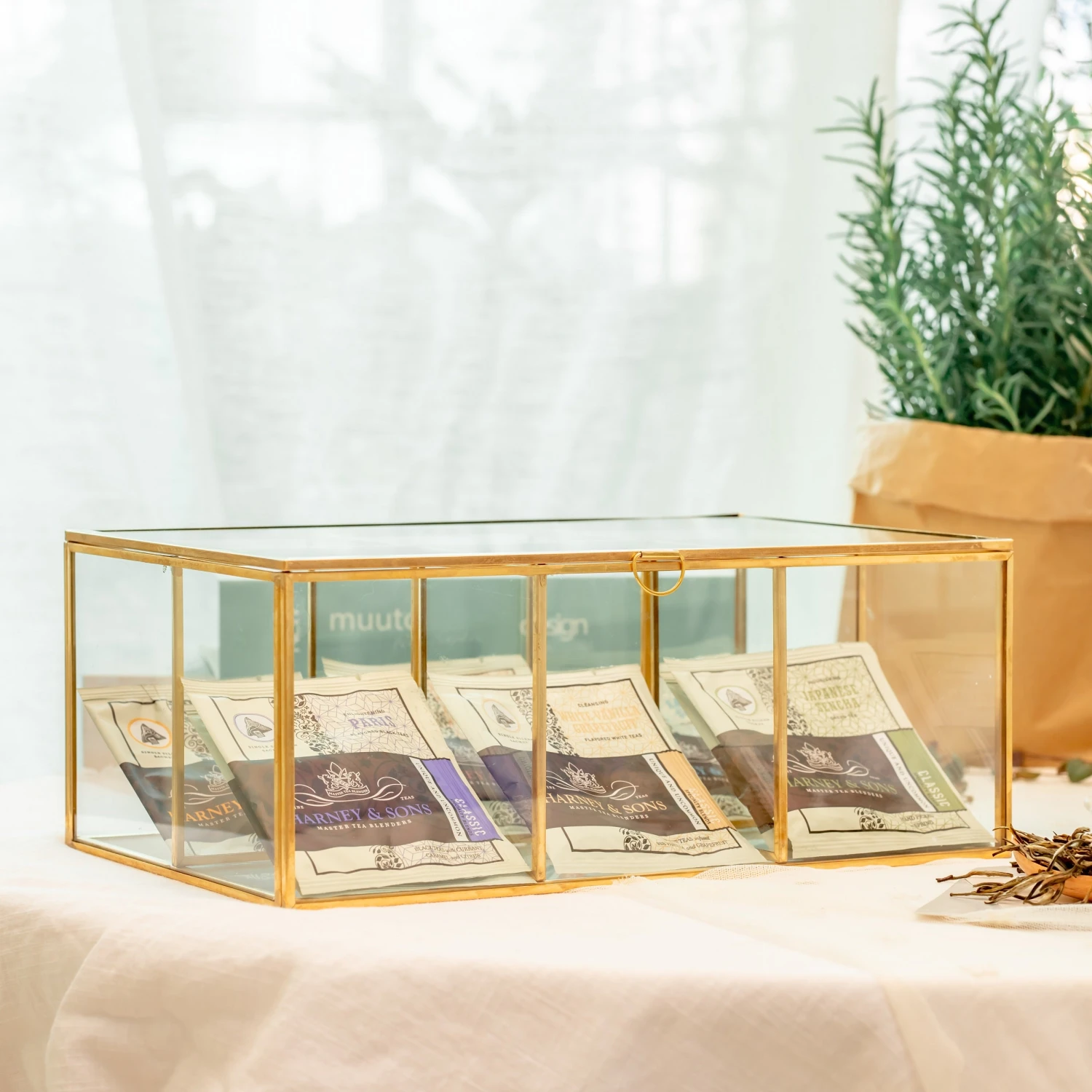 NCYP Glass Terrarium Box Tea Coffee Bag Storage Organizer Jewelry Counter 6 Grids Compartments Handcrafted Brass For Harney & Sons Tea Bag 2 NCYP Glass Terrarium Box Tea Coffee Bag Storage Organizer Jewelry Counter 6 Grids Compartments Handcrafted Brass For Harney & Sons Tea Bag - Image 2