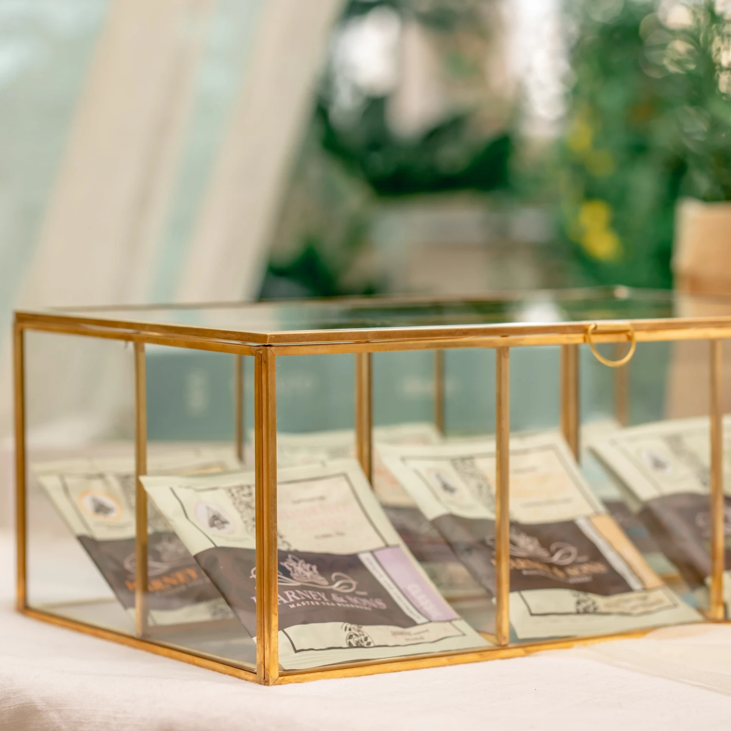 NCYP Glass Terrarium Box Tea Coffee Bag Storage Organizer Jewelry Counter 6 Grids Compartments Handcrafted Brass For Harney & Sons Tea Bag 6 NCYP Glass Terrarium Box Tea Coffee Bag Storage Organizer Jewelry Counter 6 Grids Compartments Handcrafted Brass For Harney & Sons Tea Bag - Image 6