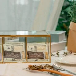 NCYP Glass Terrarium Box Tea Coffee Bag Storage Organizer Jewelry Counter 6 Grids Compartments Handcrafted Brass For Harney & Sons Tea Bag 14 NCYP Glass Terrarium Box Tea Coffee Bag Storage Organizer Jewelry Counter 6 Grids Compartments Handcrafted Brass For Harney & Sons Tea Bag -Glass Plant Store 2 20201224001 8
