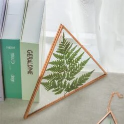 Hanging Triangle Herbarium Copper Glass Frame For Pressed Flowers Dried Flowers Poster -Glass Plant Store 3033