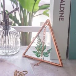 Hanging Triangle Herbarium Copper Glass Frame For Pressed Flowers Dried Flowers Poster -Glass Plant Store 3098