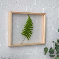 NCYP Handmade 5' 20" A3 A4 Large Tabletop Wall Hanging Natural Wood Acrylic Artwork Floating Frame -Glass Plant Store 4