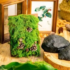 Gardening Plasticine DIY Clay For Perserved Moss, Vertical Garden, Terrarium, Micro Landscape, 500g / 1.1lb 14 Gardening Plasticine DIY Clay For Perserved Moss, Vertical Garden, Terrarium, Micro Landscape, 500g / 1.1lb -Glass Plant Store 5029