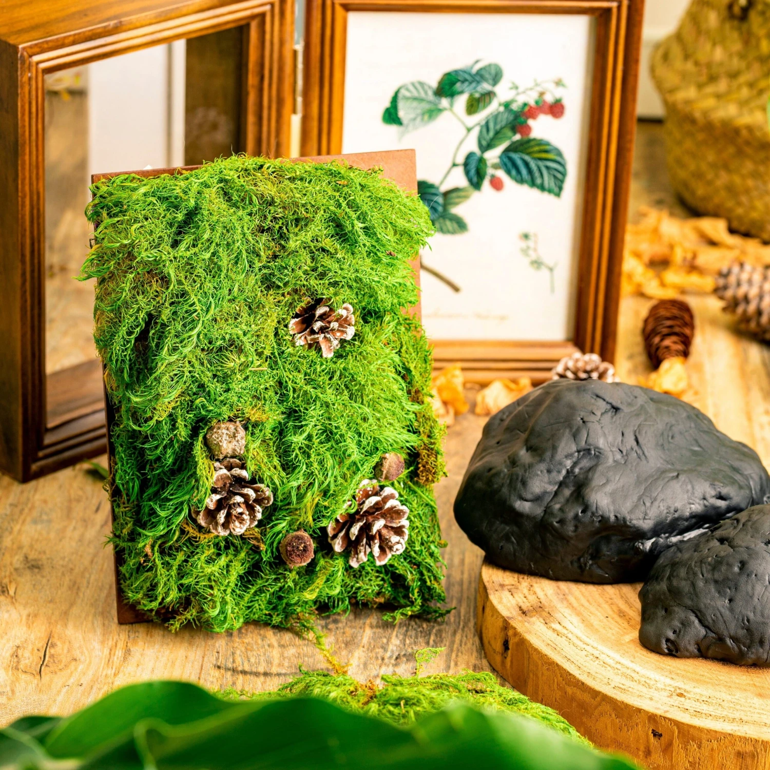 Gardening Plasticine DIY Clay For Perserved Moss, Vertical Garden, Terrarium, Micro Landscape, 500g / 1.1lb 5 Gardening Plasticine DIY Clay For Perserved Moss, Vertical Garden, Terrarium, Micro Landscape, 500g / 1.1lb - Image 5