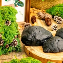 Gardening Plasticine DIY Clay For Perserved Moss, Vertical Garden, Terrarium, Micro Landscape, 500g / 1.1lb 15 Gardening Plasticine DIY Clay For Perserved Moss, Vertical Garden, Terrarium, Micro Landscape, 500g / 1.1lb -Glass Plant Store 5031