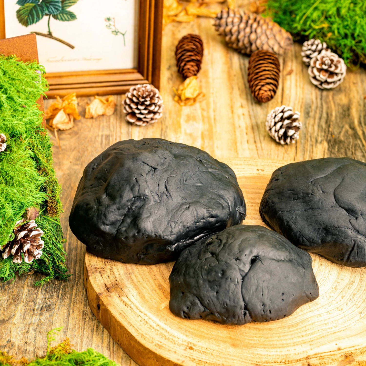 Gardening Plasticine DIY Clay For Perserved Moss, Vertical Garden, Terrarium, Micro Landscape, 500g / 1.1lb 7 Gardening Plasticine DIY Clay For Perserved Moss, Vertical Garden, Terrarium, Micro Landscape, 500g / 1.1lb - Image 7