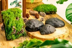 Gardening Plasticine DIY Clay For Perserved Moss, Vertical Garden, Terrarium, Micro Landscape, 500g / 1.1lb 17 Gardening Plasticine DIY Clay For Perserved Moss, Vertical Garden, Terrarium, Micro Landscape, 500g / 1.1lb -Glass Plant Store 5036