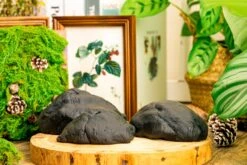 Gardening Plasticine DIY Clay For Perserved Moss, Vertical Garden, Terrarium, Micro Landscape, 500g / 1.1lb 18 Gardening Plasticine DIY Clay For Perserved Moss, Vertical Garden, Terrarium, Micro Landscape, 500g / 1.1lb -Glass Plant Store 5040