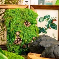 Gardening Plasticine DIY Clay For Perserved Moss, Vertical Garden, Terrarium, Micro Landscape, 500g / 1.1lb 13 Gardening Plasticine DIY Clay For Perserved Moss, Vertical Garden, Terrarium, Micro Landscape, 500g / 1.1lb -Glass Plant Store 5041