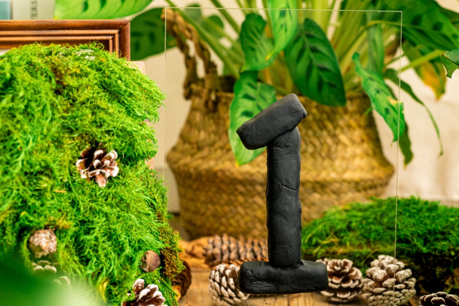 Gardening Plasticine DIY Clay For Perserved Moss, Vertical Garden, Terrarium, Micro Landscape, 500g / 1.1lb 10 Gardening Plasticine DIY Clay For Perserved Moss, Vertical Garden, Terrarium, Micro Landscape, 500g / 1.1lb - Image 10