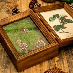 Preserved Long Hairy Moss, Green 20x50cm, For DIY Moss Wall, Moss Terrarium, Vertical Garden 14 Preserved Long Hairy Moss, Green 20x50cm, For DIY Moss Wall, Moss Terrarium, Vertical Garden -Glass Plant Store 5097