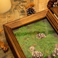 Preserved Long Hairy Moss, Green 20x50cm, For DIY Moss Wall, Moss Terrarium, Vertical Garden 15 Preserved Long Hairy Moss, Green 20x50cm, For DIY Moss Wall, Moss Terrarium, Vertical Garden -Glass Plant Store 5100