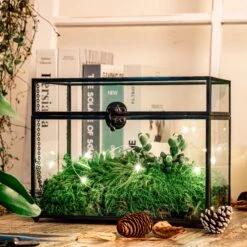 Black Geometric Glass Card Box Terrarium Foot Latch Handmade Rectangular For Wedding Receiption Wishwell Keepsake -Glass Plant Store 5162