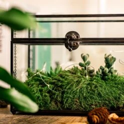 Black Geometric Glass Card Box Terrarium Foot Latch Handmade Rectangular For Wedding Receiption Wishwell Keepsake -Glass Plant Store 5169