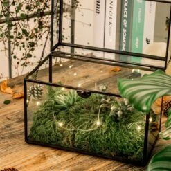 Black Geometric Glass Card Box Terrarium Foot Latch Handmade Rectangular For Wedding Receiption Wishwell Keepsake -Glass Plant Store 5190