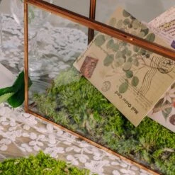 Preserved Short Moss, Leucobryum, Natural Green 20x50cm, For DIY Moss Wall, Moss Terrarium, Vertical Garden 9 Preserved Short Moss, Leucobryum, Natural Green 20x50cm, For DIY Moss Wall, Moss Terrarium, Vertical Garden -Glass Plant Store 5348