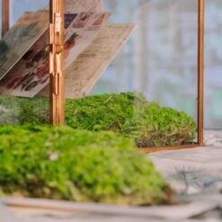 Preserved Short Moss, Leucobryum, Natural Green 20x50cm, For DIY Moss Wall, Moss Terrarium, Vertical Garden 11 Preserved Short Moss, Leucobryum, Natural Green 20x50cm, For DIY Moss Wall, Moss Terrarium, Vertical Garden -Glass Plant Store 5354