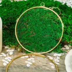 NCYP Wall Hanging Round 5" 4.3" Herbarium Brass Glass Frame For Pressed Flowers, Dried Flowers, Poster, Double Glass, Floating Frame -Glass Plant Store 5710