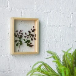 NCYP Handmade Personalized Tabletop Wall Hanging Natural Wood Glass Floating Frame For Photo -Glass Plant Store 8233