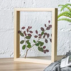 NCYP Handmade Personalized Tabletop Wall Hanging Natural Wood Glass Floating Frame For Photo -Glass Plant Store 8245