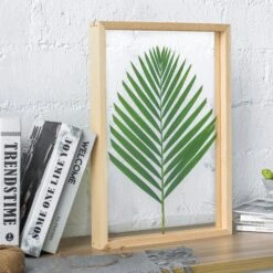 NCYP Handmade 5' 20" A3 A4 Large Tabletop Wall Hanging Natural Wood Acrylic Artwork Floating Frame -Glass Plant Store 8265